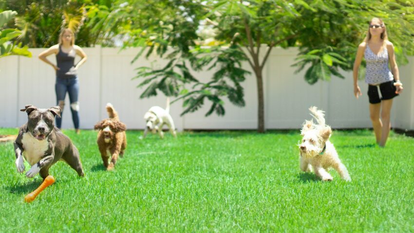anthony-duran-XFLY0Yp3Gow-unsplash