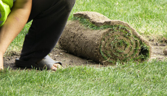 herbe-pour-tondre-pelouse-arriere-plan-travailleur-flou-pose-pelouse-herbe-fraiche